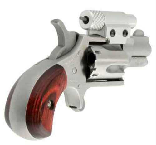 Laserlyte NAA 22LR